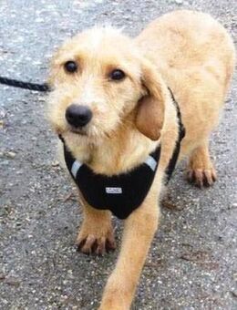 Ist Miran nicht süß und bezaubernd? - Karben