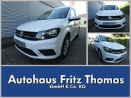 VW Caddy, 2.0 TDI Kombi Trendline, Jahr 2020 - Celle