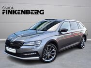 Skoda Superb, 2.0 TDI Combi Scout Final Edition, Jahr 2023 - Verden (Aller)