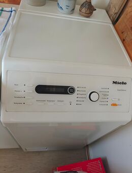 Miele WW 690 Wpm - Frankfurt (Main) Höchst