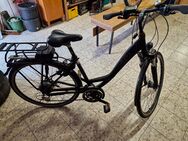 E-Bike KTM 28" Panasonic Antrieb - Fuldatal