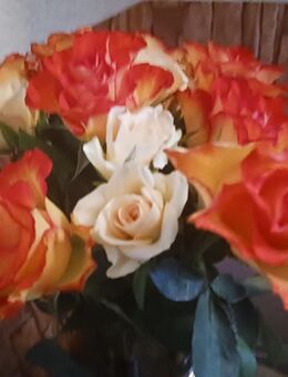 Wer macht mit? - Merseburg