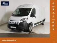 Fiat Ducato, 140 MT L3H2 KaWa verblecht, Jahr 2022 - Pilsach