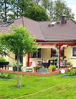 NEUER PREIS |TOP Einfamilienhaus INKLUSIVE 1474m² Traumgrundstück + Whirlpool + Kamin + Saunahaus - Oranienburg