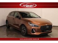 Hyundai i30 Intro-LED-Kamera-Tempomat-Bluetooth-SHZ-DAB- - Bebra