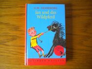 Jan und das Wildpferd,H.M. Denneborg,Oetinger Verlag,2001 - Linnich