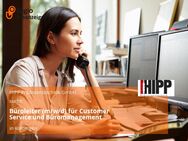 Büroleiter (m/w/d) für Customer Service und Büromanagement - Kolbingen