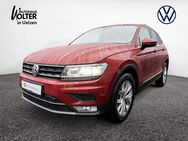 VW Tiguan, 2.0 TDI Highline, Jahr 2016 - Uelzen