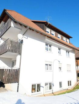 Zur Miete: Große & helle 2 Zimmer Souterrain-Wohnung in zentraler Lage in St. Peter - Sankt Peter