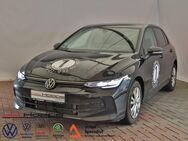 VW Golf, 1.5 l TSI VIII Life APP, Jahr 2024 - Ganderkesee