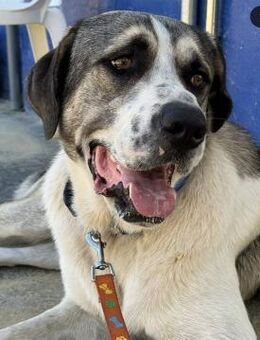 GOSSO - jetzt in Sicherheit ☝️ - Marienfließ