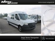 Mercedes Sprinter, 3.5 317 Kasten Maxi t, Jahr 2023 - Weißenburg (Bayern)