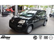 Fiat Panda, 1.0 Pandina Hybrid GSE 51kw, Jahr 2022 - Bünde