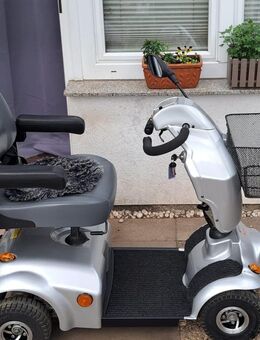 DIETZ Agin Mobilitäts Elektro Scooter 6km/h - Scharbeutz