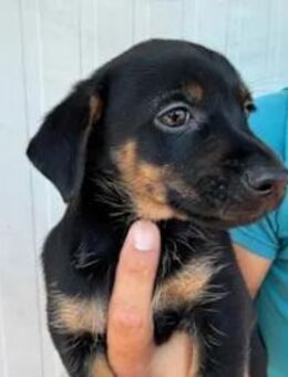 ERNESTO - ein kleiner Sonnenschein - Regensburg