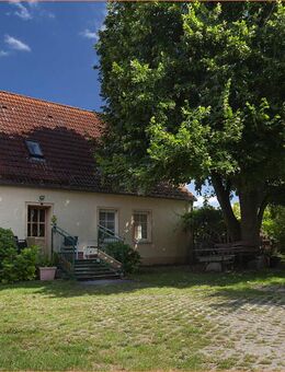 Schönes altes Haus mit viel Platz auf sonnigem Grundstück an der Dorfstraße in Flemsdorf - Schwedt (Oder) Zentrum