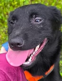 Auri - schwarzer Rohdiamant - Obertshausen