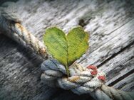 Ein Ort voller Liebe - Charmantes Fertighaus, das Ihr Herz höher schlagen lässt - Gelsenkirchen