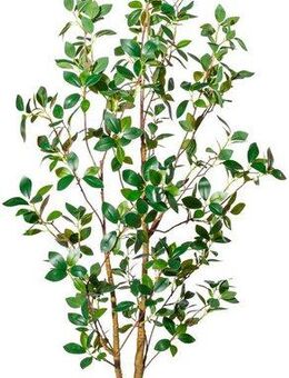 Kunstbaum Ficus ginseng Grünpflanze, Creativ green, Höhe 130 cm