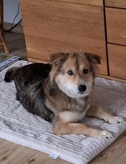 Emmi möchte ankommen - Berlin