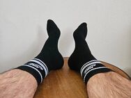 Socken, Socks, Adidas, underwear - Trier