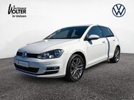 VW Golf, 2.0 TDI VII, Jahr 2016 - Uelzen