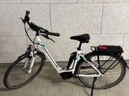 E Bike mit tiefem Einstieg und Rücktrittbremse - Horb (Neckar) Zentrum
