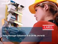 Sales Manager Industrial D-A-CH-NL (m/w/d) - Mainz Zentrum