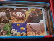 Zoo Lotto - Düsseldorf