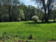 Einfamilienhaus mit großem Garten im Grünen - Zehdenick