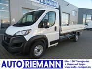 Fiat Ducato, 35 Pritsche L5 Maxi KOMFORT APP, Jahr 2024 - Cloppenburg