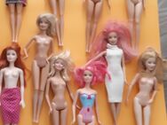 Barbie-Puppen und Diverse - Neustadt (Coburg)