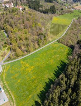 Camping & Chalets in der Steiermark - Touristisches Projektgrundstück zu verkaufen - Berlin