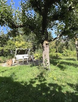 222m² auf zwie Ebenen mit moderner Heizung und schönen Garten ZFH in Bad Emstal - Bad Emstal
