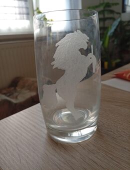 Handgraviertes Glas mit Silhouette - Kamenz