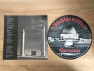 LP Bildplatte Picture Vinyl Stahlgewitter - Hörselberg-Hainich