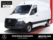 Mercedes Sprinter, 317 L2H2 Holzboden, Jahr 2023 - Heide