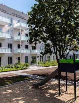 Modern, hell und viel Platz für Ihre Familie - Dresden