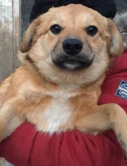 HAPPY (verspielt, fröhlich) - Köln