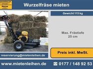 Wurzelfräse Stubbenfräse Baumstumpffräse mieten leihen in Herne - Herne