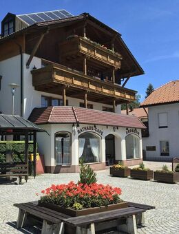 4-Zimmer Wohnung / Südseite in Bischofsmais - Erstbezug nach Sanierung - Bischofsmais