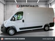 Opel Movano, 8.7 Kasten HKa L2H2 t 140 3 C Cargo Edition GEWERBEDEAL 290 netto, Jahr 2024 - Kamen