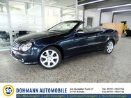 Mercedes-Benz CLK 200 Cabrio K Elegance /Leder/eDach/GRA/Sitzhzg - Rinteln