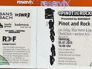 2 Karten für Jan Delay am 5.7.2025 bei Pinot and Rock - Pliezhausen