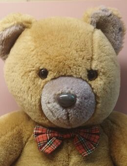 Schöner Teddybär - Kuscheltier / Stofftier / Spielzeug - Kerken