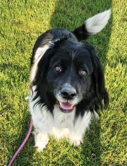 CRNI - bin mal unterwegs, bist du dabei? - Overath