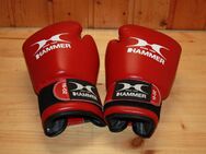 Boxhandschuhe 10 Oz Rot Hammer neuwertig - Borken