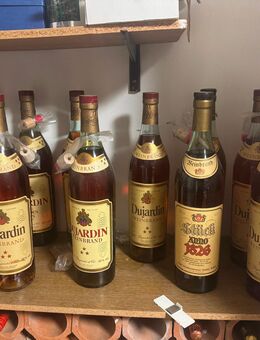 Spirituosen aller Art ca. 100 Flaschen - Rain (Regierungsbezirk Schwaben)