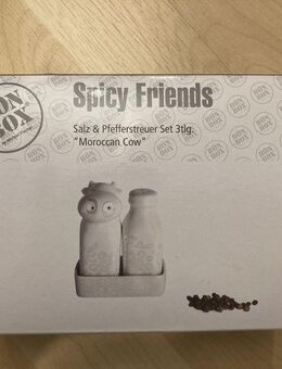 UNBENUTZT Spicy Friends Salz- und Pfefferstreuer mit Tablett - Wuppertal