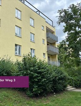 Maisonette-Traum über der Saale-Aue - Halle (Saale)
